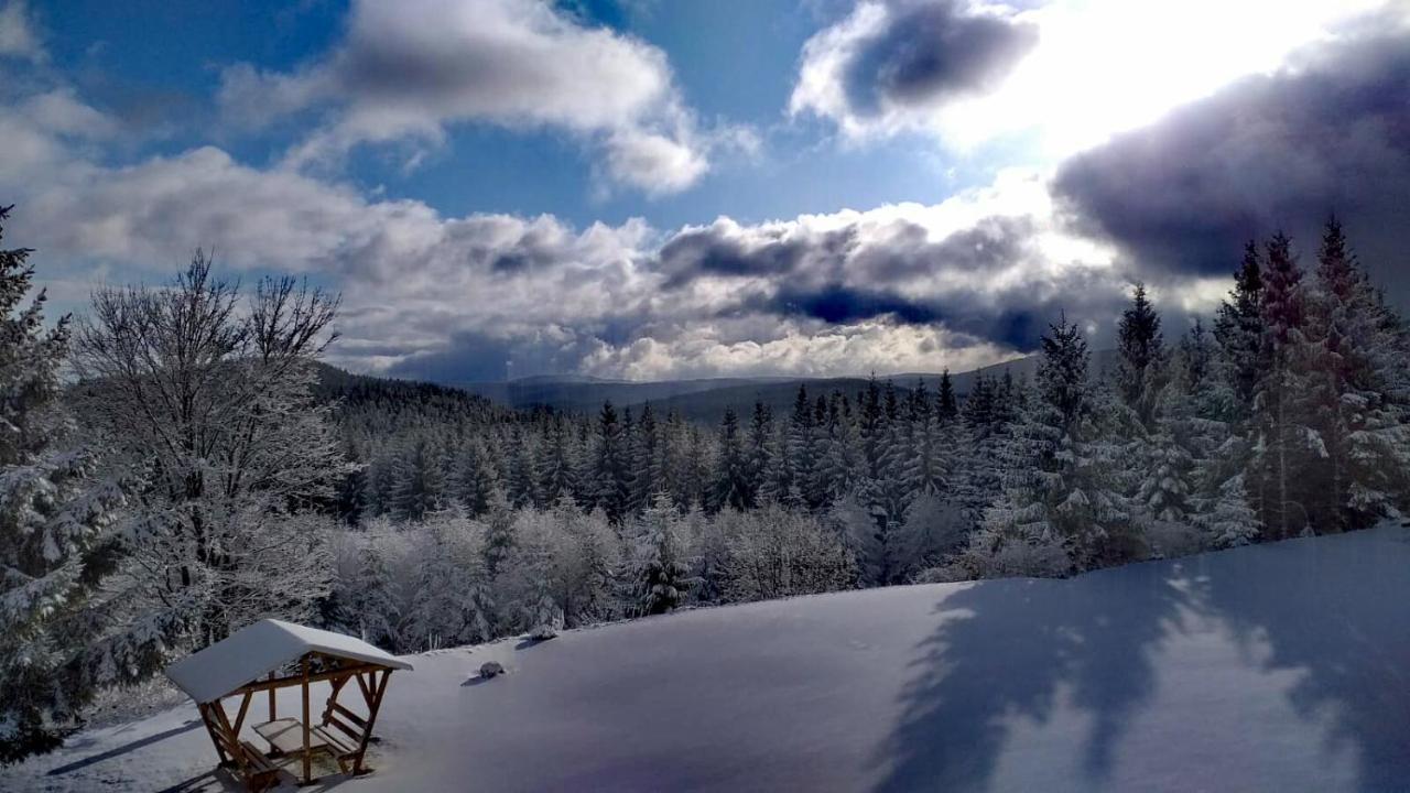 Hotel & Pension Traumblick Oberhof  Dış mekan fotoğraf
