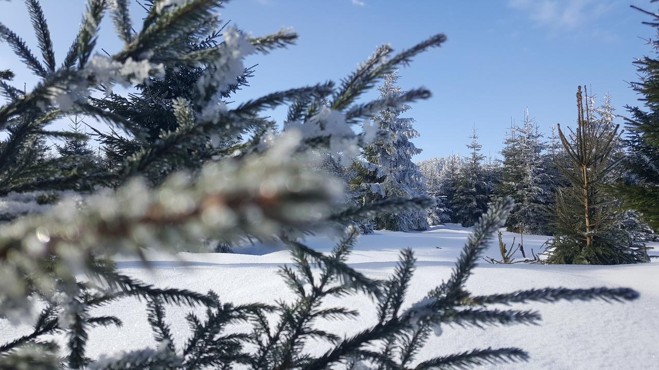Hotel & Pension Traumblick Oberhof  Dış mekan fotoğraf